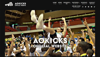 AOKICKS